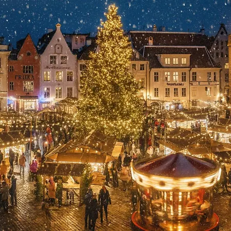 Old Town, Beautiful Yard View, Sauna *